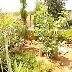 Casa Brigitte *